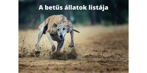A betűs állatok listája
