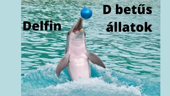 D betűs állatok