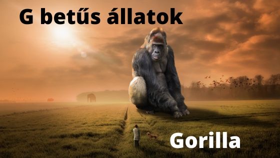 G betűs állatok